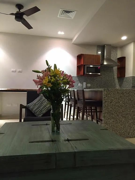 Condominio Terrazas Playa del Carmen 0*,