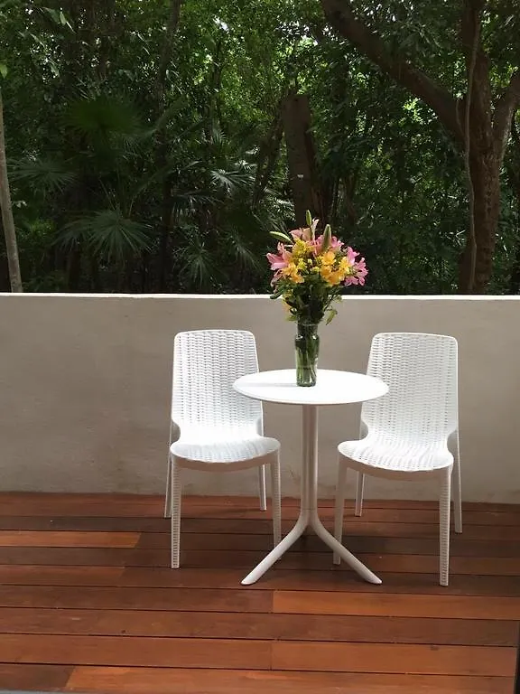 Apartment Condominio Terrazas Playa del Carmen