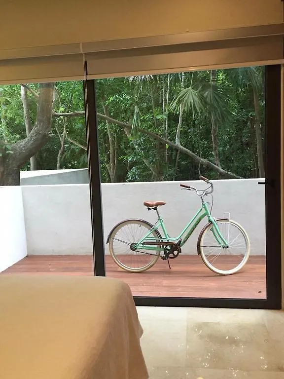Condominio Terrazas Playa del Carmen Mexico
